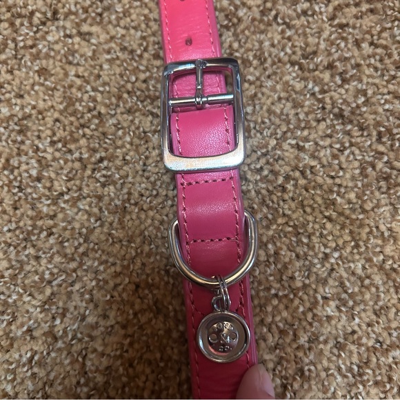 Larger Collar with Matching Leash - Picture 2 of 13